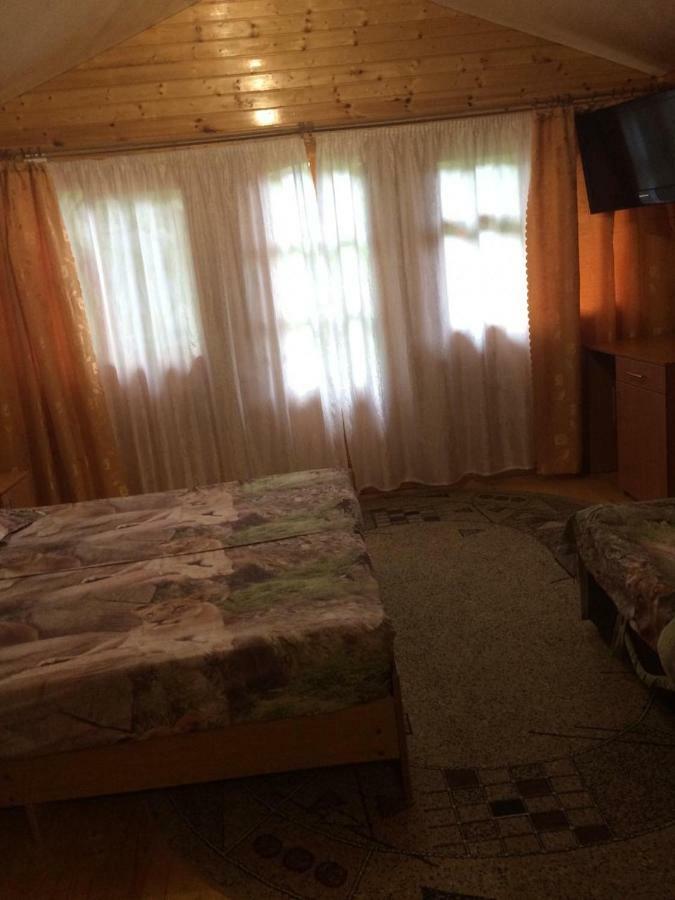 ホテルГостевой Дом У Левы ガグラ エクステリア 写真